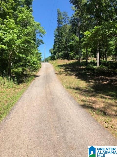 Jeans Way, Unit 7 Wedowee, AL 36278 - Photo 2 of 2