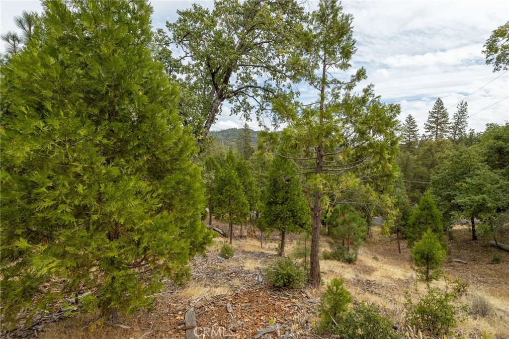 26 Timberview Road North Fork, CA 93643 - Photo 46 of 60
