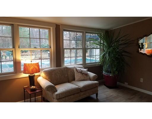 374 Grand Valley Road Springfield, MA 01128 - Photo 14 of 28 a living room with furniture and a potted plant