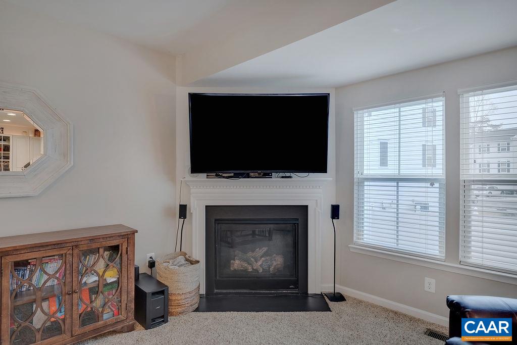 2346 Jersey Pine Ridge Charlottesville, VA 22911 - Photo 18 of 45 a living room with furniture a flat screen tv and a fireplace
