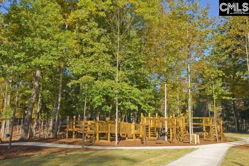 934 Battenkill Court Lexington, SC 29072 - Photo 42 of 54