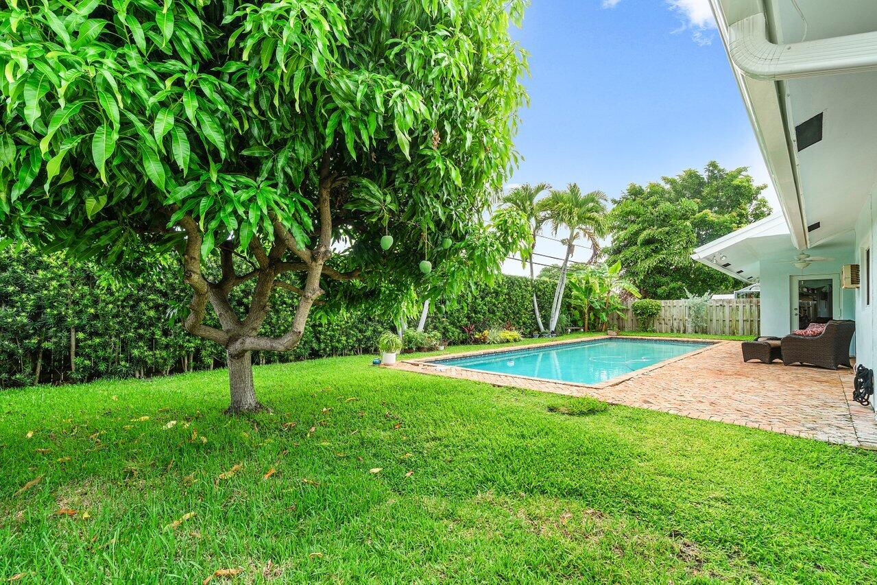 1041 Southwest 7th Street Boca Raton, FL 33486 - Photo 24 of 30 Lush Mango Tree