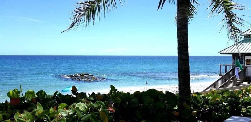 1041 Southwest 7th Street Boca Raton, FL 33486 - Photo 28 of 30 red-reef-park-boca-raton