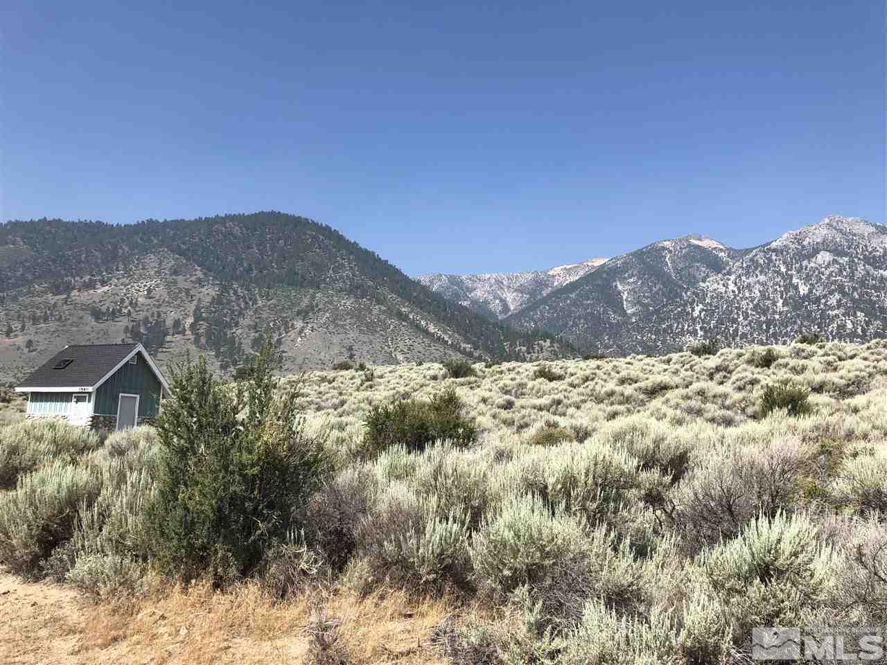 101002000 Foothill Road Gardnerville, NV 96120 - Photo 5 of 10 a view of a house with a mountain