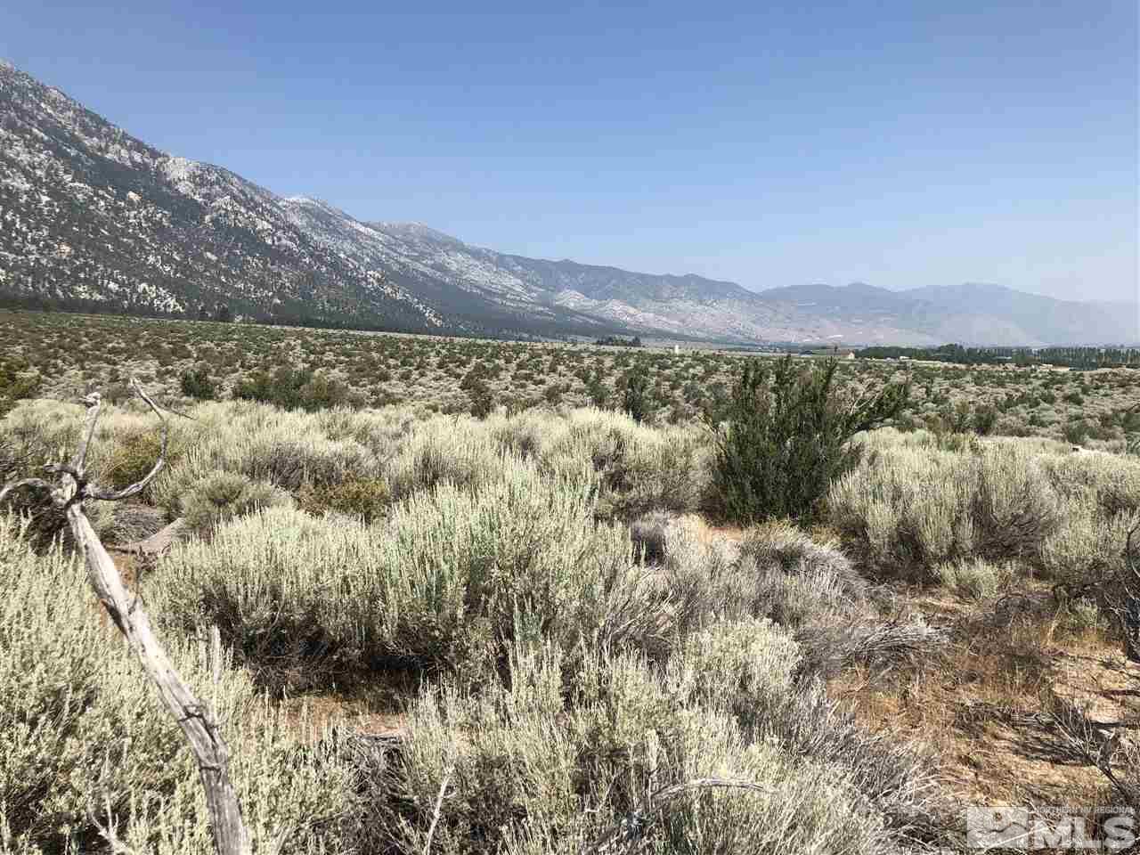 101002000 Foothill Road Gardnerville, NV 96120 - Photo 8 of 10 a view of lake and mountain