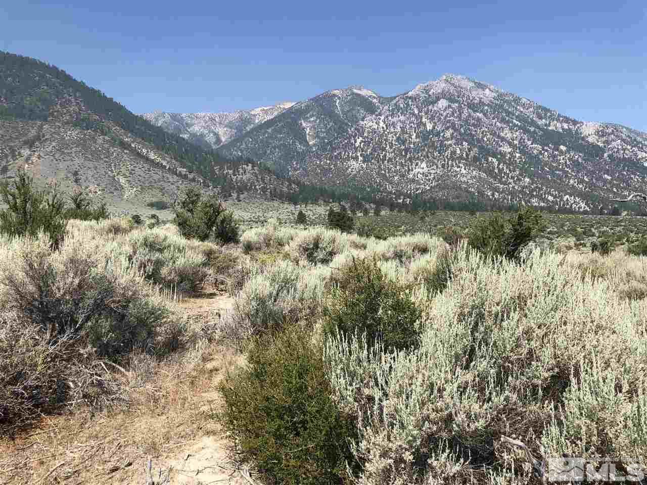 101002000 Foothill Road Gardnerville, NV 96120 - Photo 10 of 10 a view of a dry yard with mountains in the background