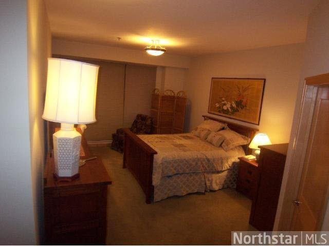 312 Spring Street, Unit 307 St. Paul, MN 55102 - Photo 8 of 15 Gallery Image 8