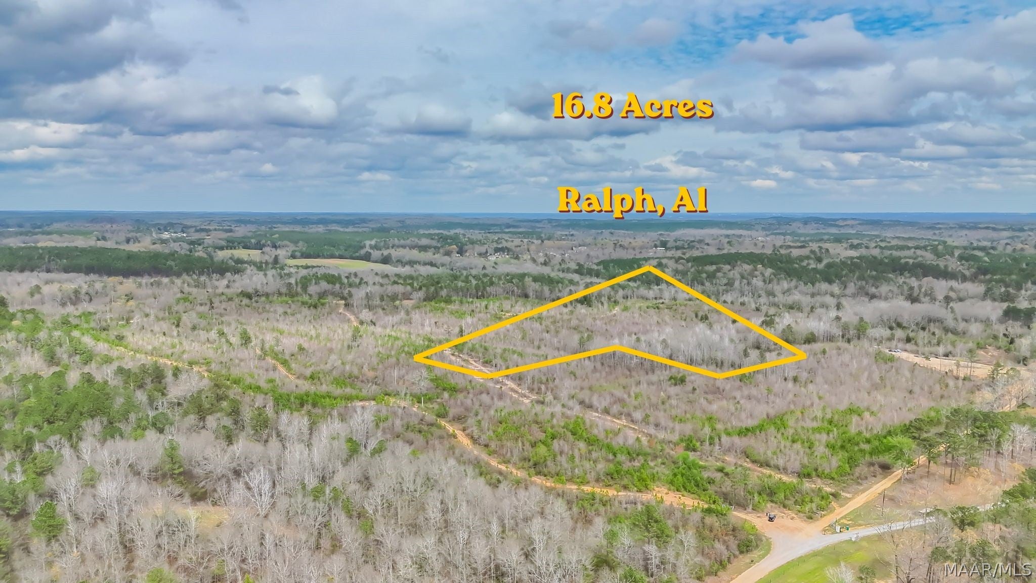 0 Brownin Road Ralph, AL 35480 - Photo 1 of 19 Gallery Image 1