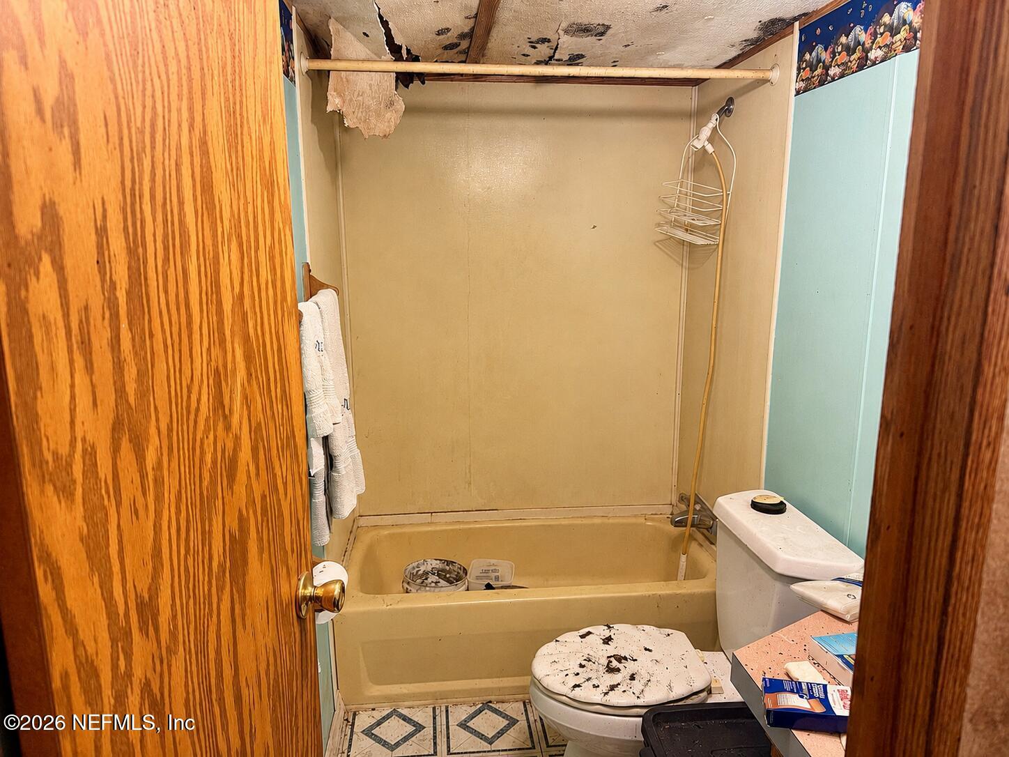 1056 Bellamy Road Melrose, FL 32666 - Photo 39 of 59 ChatGPT Image Jun 4, 2026, 09_14_17 AM (