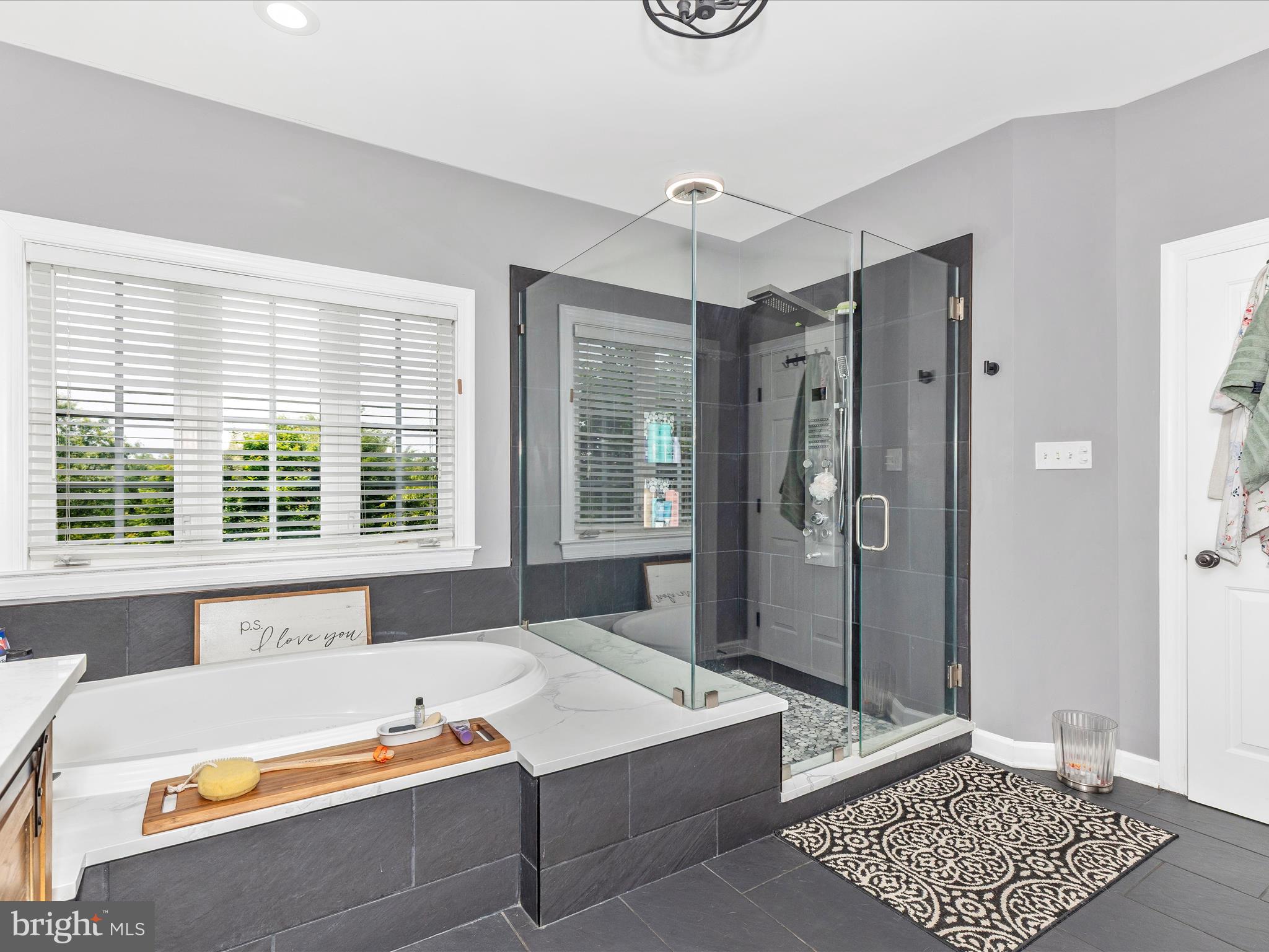 110 Bower Lane Forest Hill, MD 21050 - Photo 107 of 132 Primary Bathroom