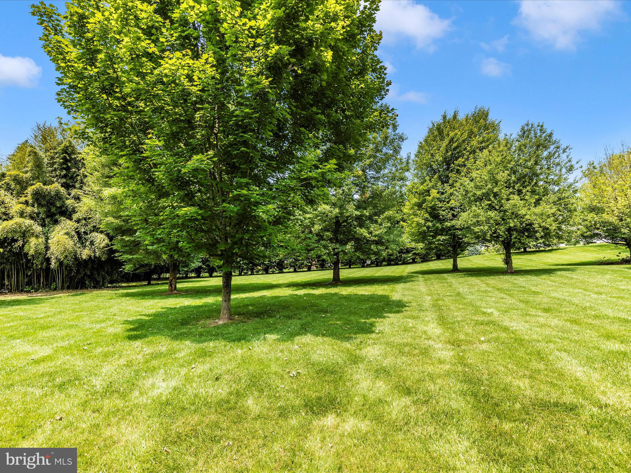 110 Bower Lane Forest Hill, MD 21050 - Photo 124 of 132 Exterior Back