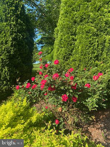 110 Bower Lane Forest Hill, MD 21050 - Photo 56 of 132