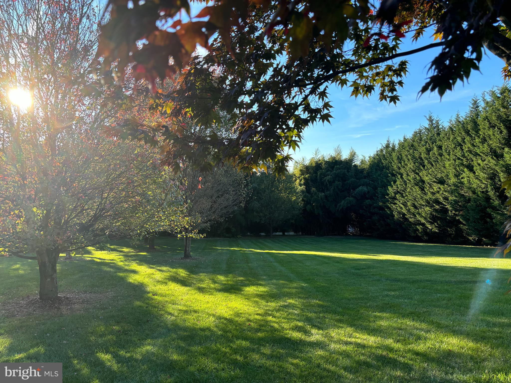 110 Bower Lane Forest Hill, MD 21050 - Photo 61 of 132