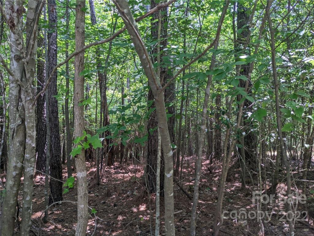 223 PLANTATION Way, Unit 82 Mount Gilead, NC 27306 - Photo 6 of 22 Gallery Image 6