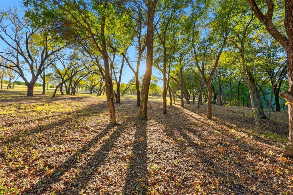 2401 Bear Creek Road Aledo, TX 76008 - Photo 11 of 37 a view of a yard with trees