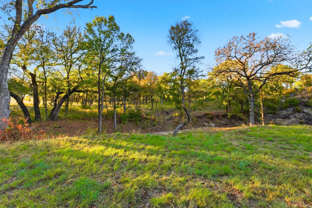 2401 Bear Creek Road Aledo, TX 76008 - Photo 16 of 37 a backyard of a house with lots of green space