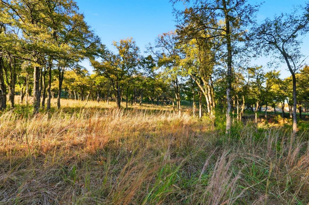 2401 Bear Creek Road Aledo, TX 76008 - Photo 19 of 37 a view of lake