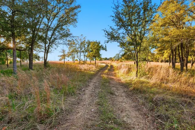 a view of yard covered with snow