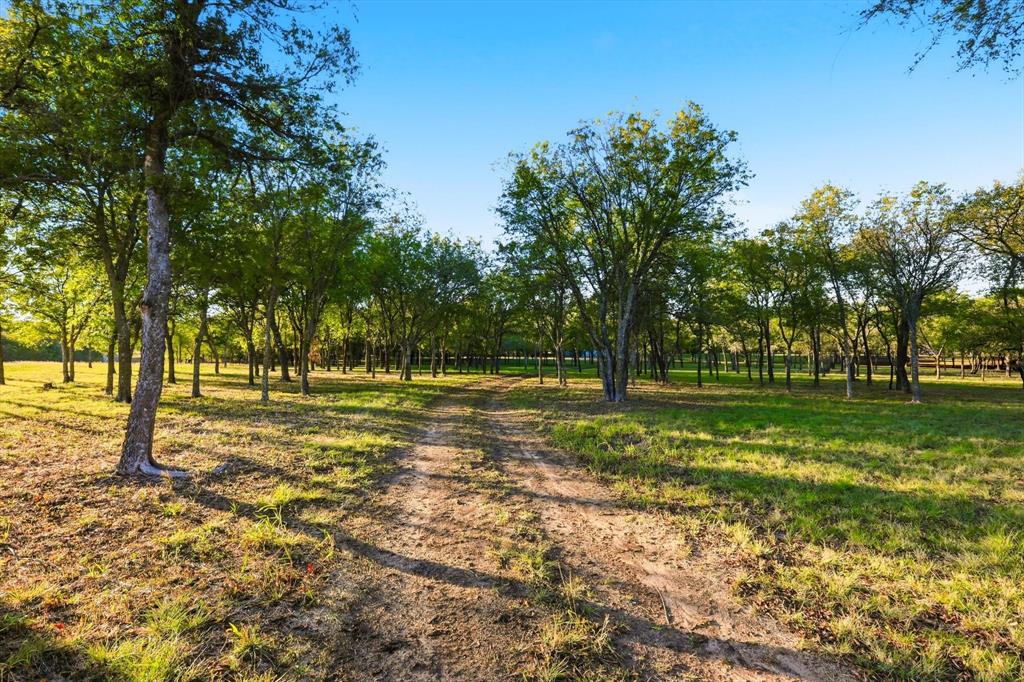 2401 Bear Creek Road Aledo, TX 76008 - Photo 28 of 37 a view of a yard with a tree