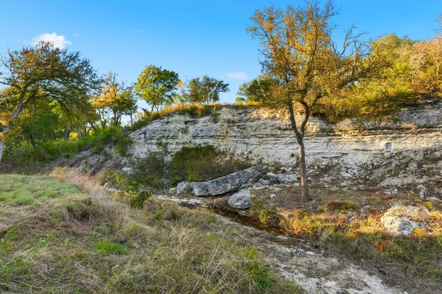 a view of a yard with a tree