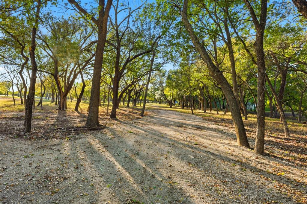 2401 Bear Creek Road Aledo, TX 76008 - Photo 9 of 37 a view of outdoor space with trees