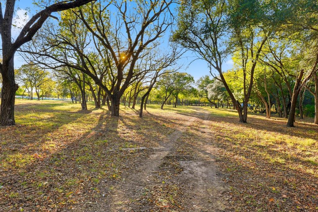 2401 Bear Creek Road Aledo, TX 76008 - Photo 10 of 37 a view of yard with trees
