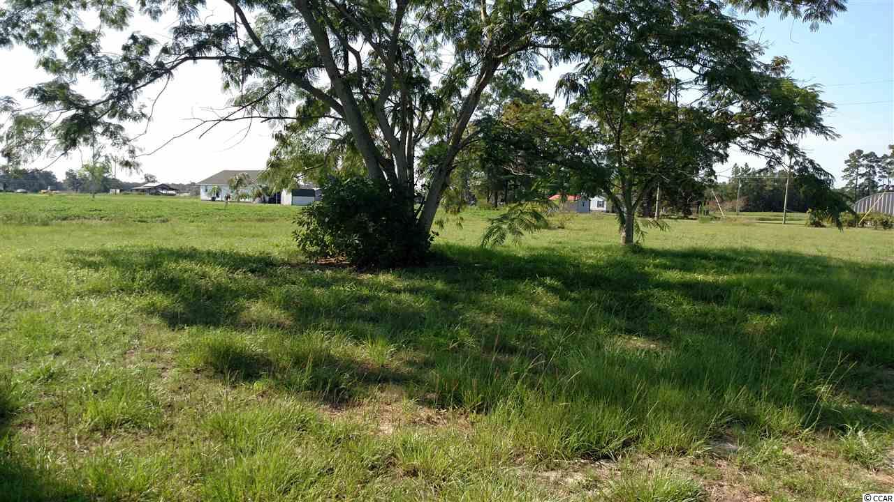 Lot 2 Lake Pond Road Loris, SC 29569 - Photo 3 of 11 Gallery Image 3