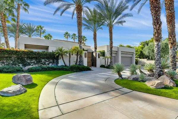 a view of a backyard with plants and palm tree