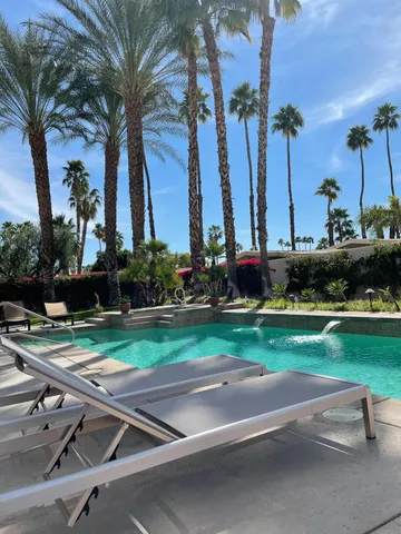 a yard with palm trees
