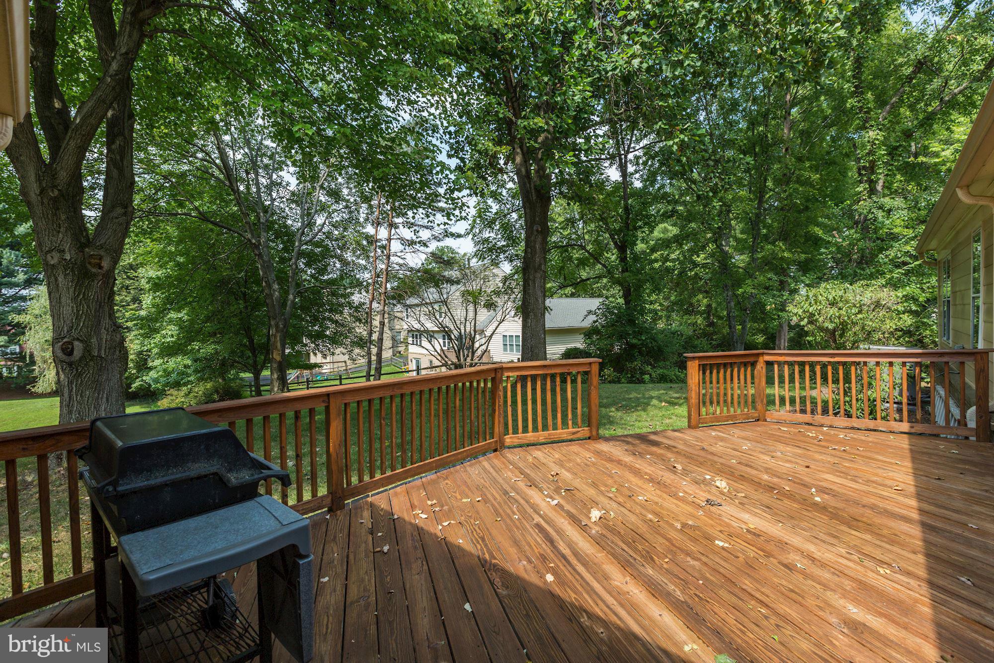 11916 Canfield Road Potomac, MD 20854 - Photo 22 of 24 Deck