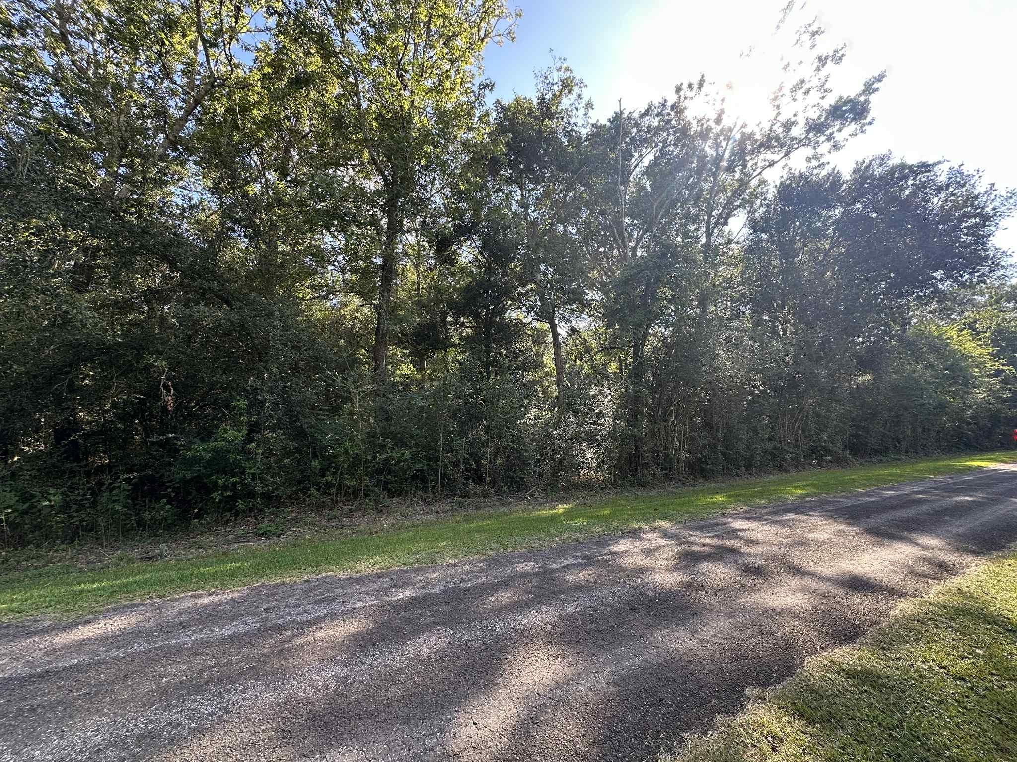 0 Main Street Winnie, TX 77665 - Photo 2 of 7 a view of a park
