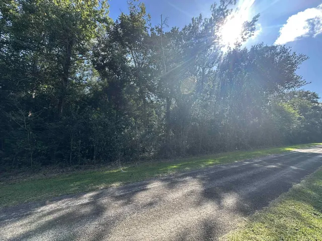a view of a yard with a tree