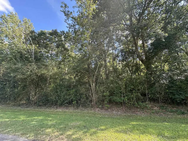 a view of outdoor space with deck and yard