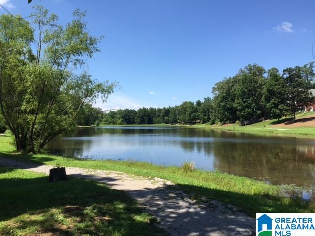 4572 South Shades Crest Road Helena, AL 35022 - Photo 2 of 27