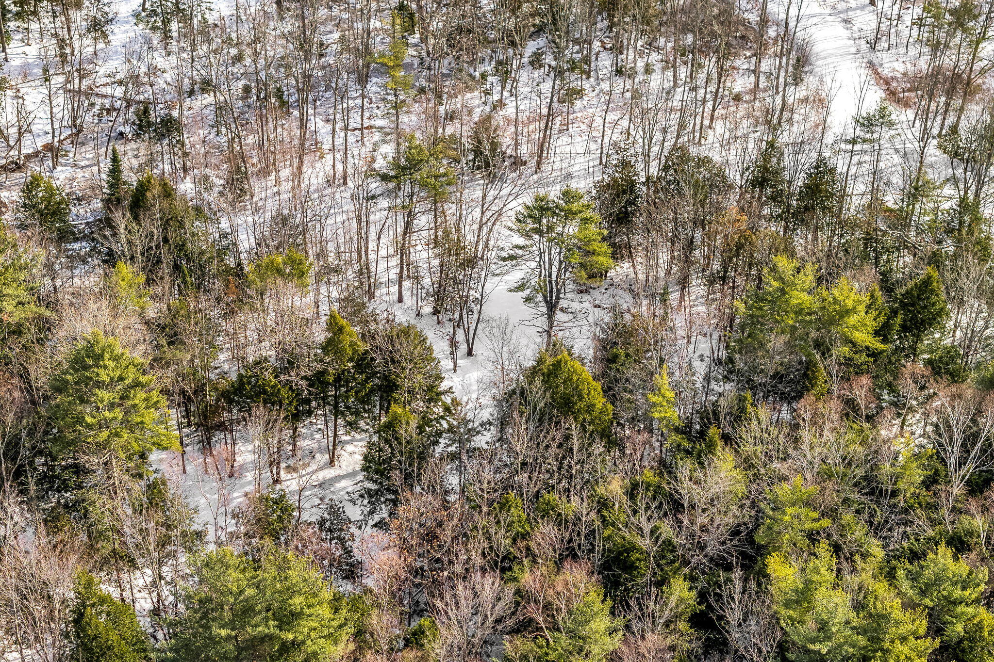 9-6 Page Road Etna, ME 04434 - Photo 14 of 21