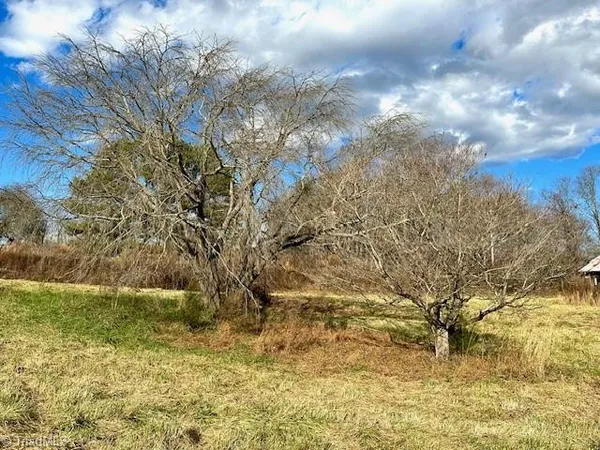 $299,000 | Tbd Greenhorn Road, Roaring River, NC 28669