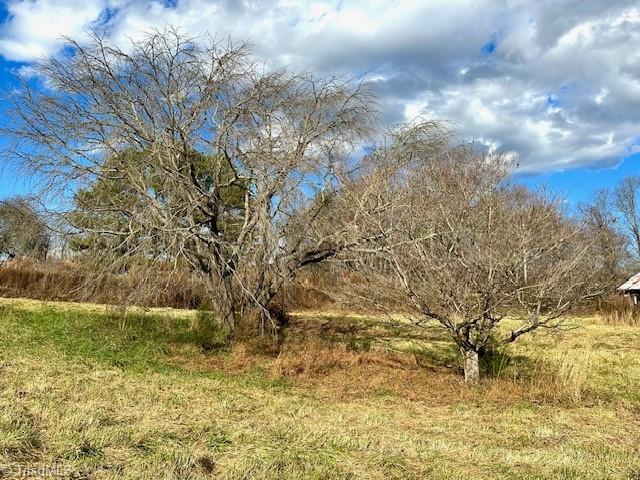 Tbd Greenhorn Road Roaring River, NC 28669 - Photo 34 of 34