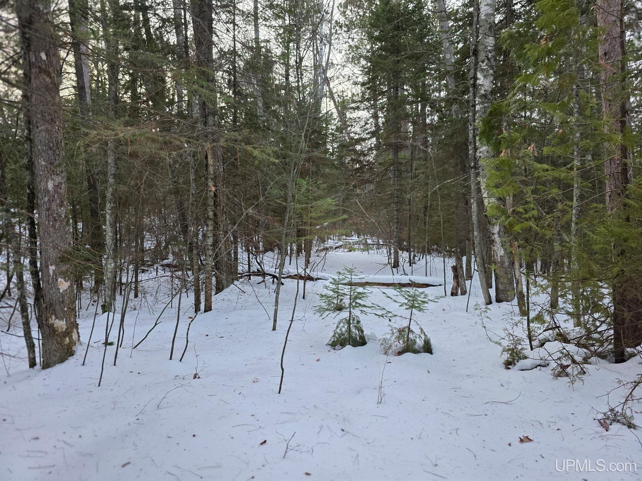 Tbd Sand Lake Road Marquette, MI 49855 - Photo 7 of 13