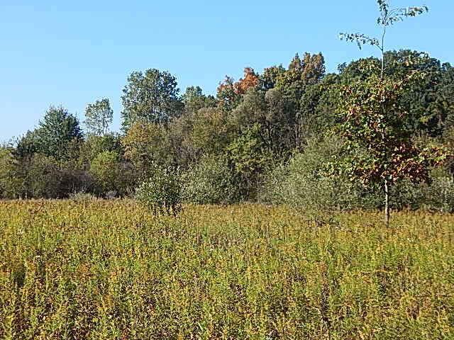 2857 Oakley Road Stockbridge, MI 49285 - Photo 27 of 27 DSCN1620