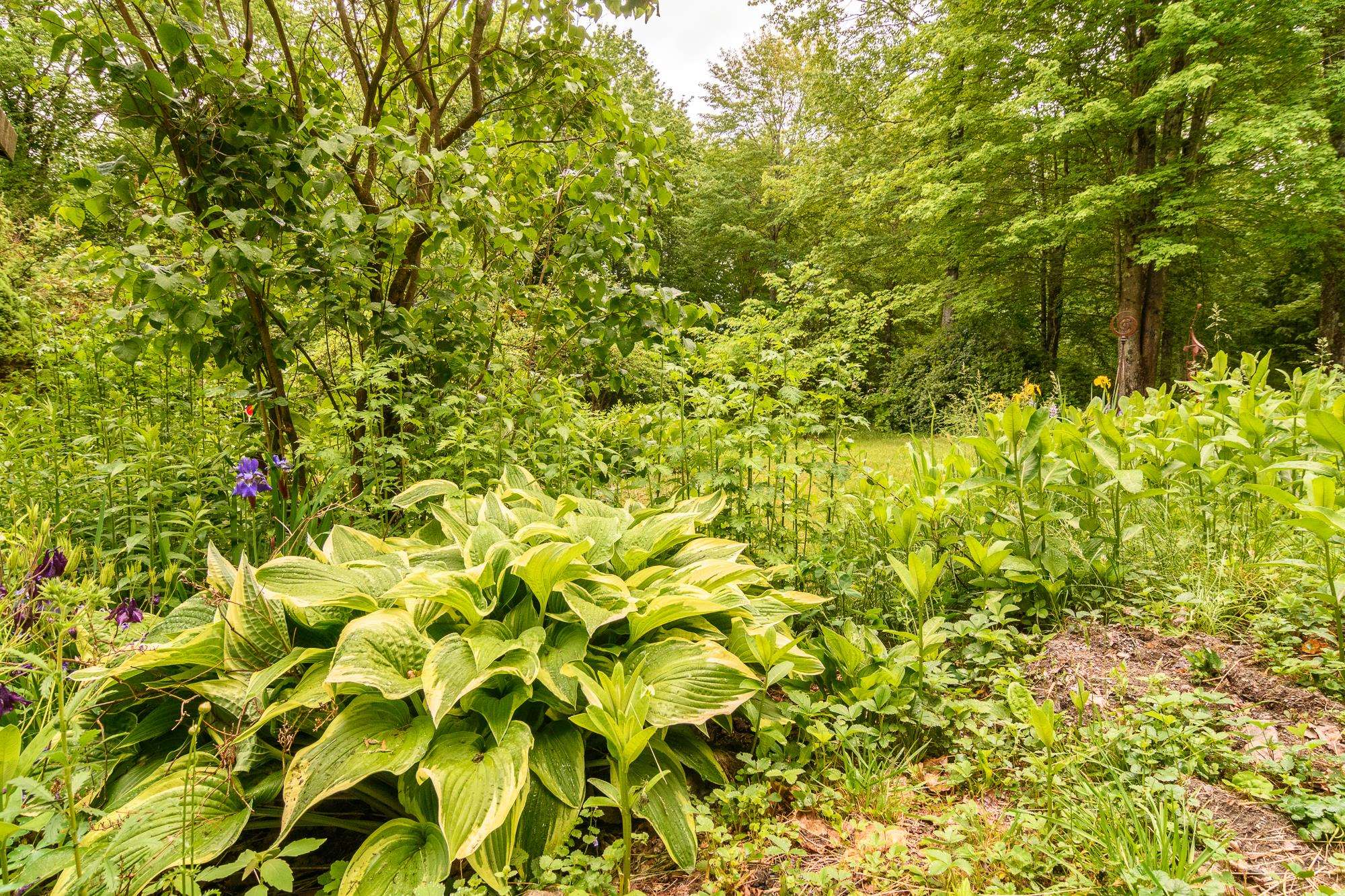 279 Trail Road Westminster, VT 05346 - Photo 14 of 23