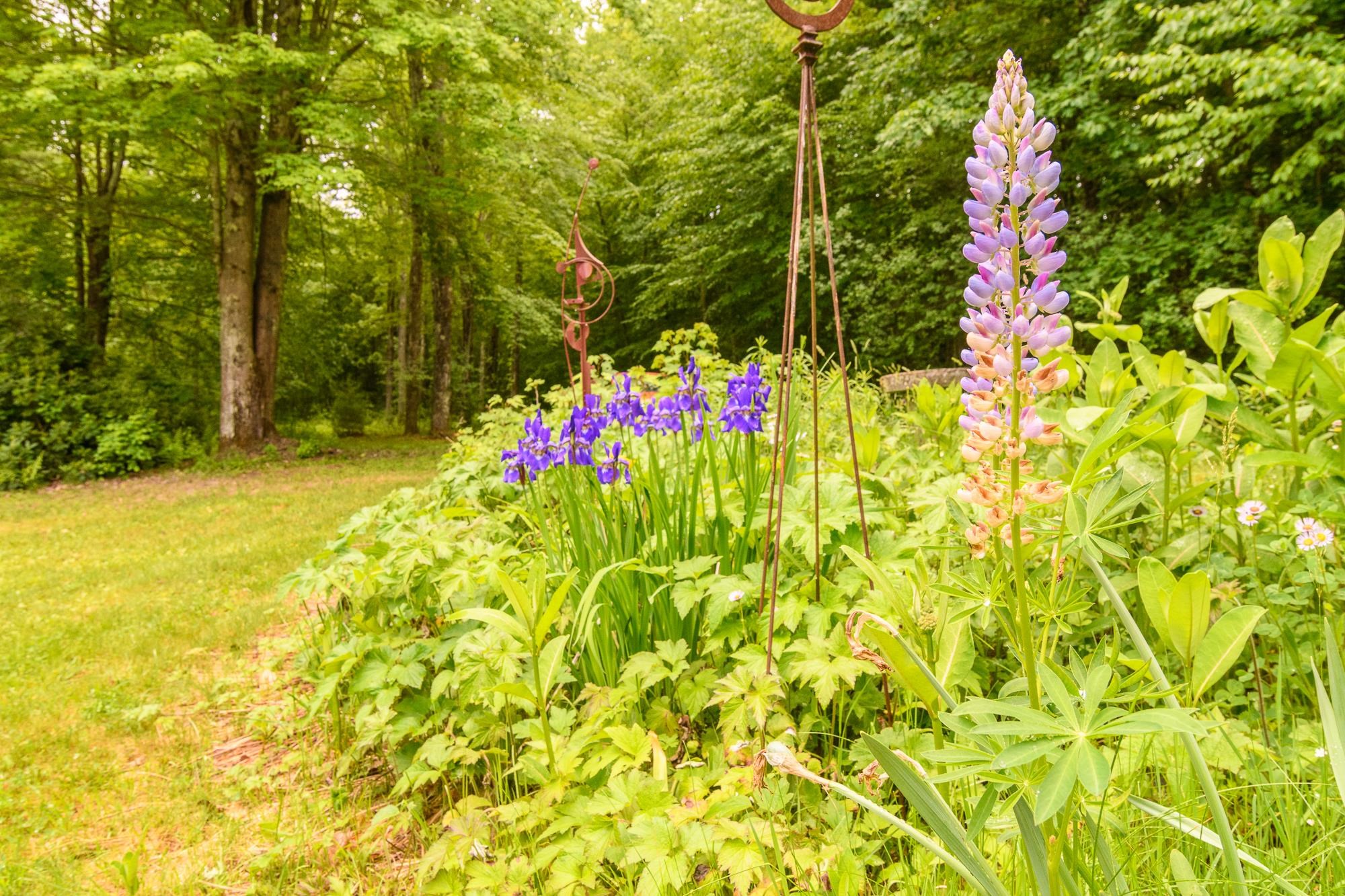 279 Trail Road Westminster, VT 05346 - Photo 15 of 23