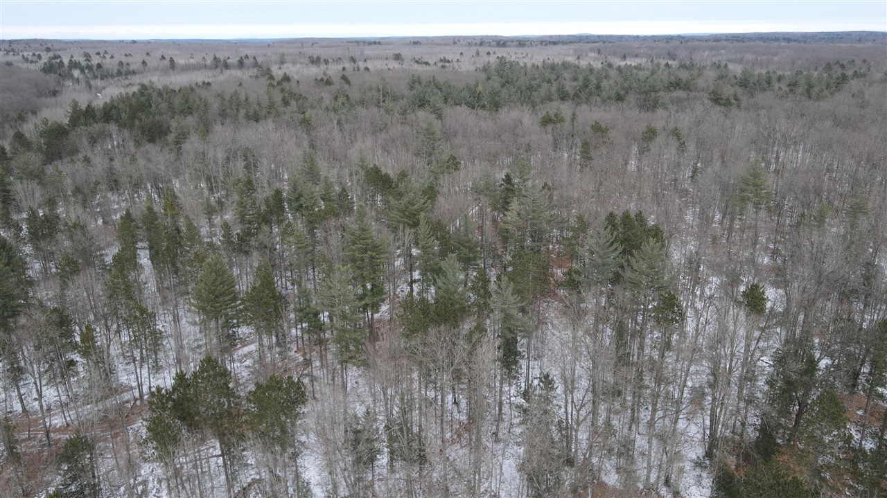 3010 Mt Tom Road Comins, MI 48619 - Photo 27 of 97
