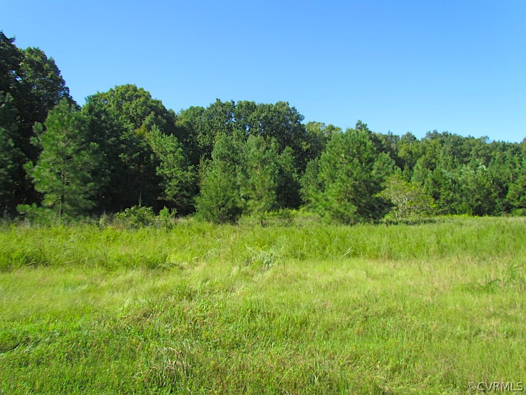8.6-ac Oral Oaks Road Victoria, VA 23974 - Photo 13 of 36 Gallery Image 13