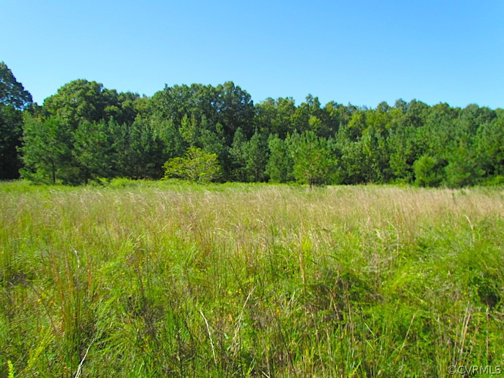8.6-ac Oral Oaks Road Victoria, VA 23974 - Photo 15 of 36 Gallery Image 15