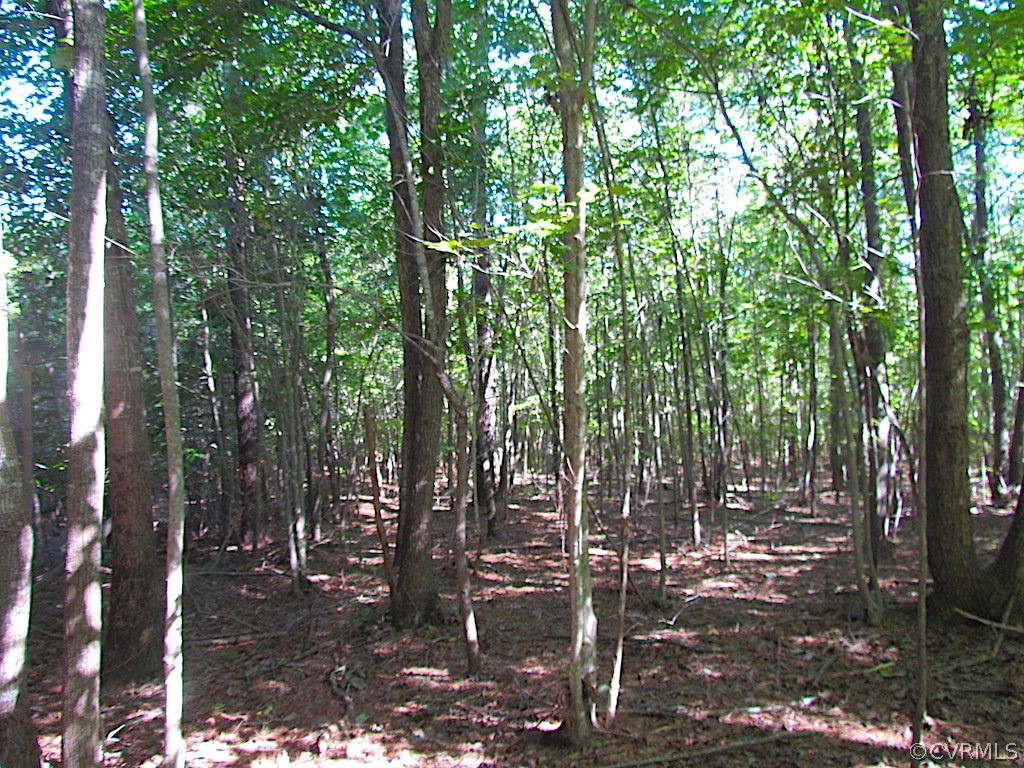 8.6-ac Oral Oaks Road Victoria, VA 23974 - Photo 19 of 36 Gallery Image 19