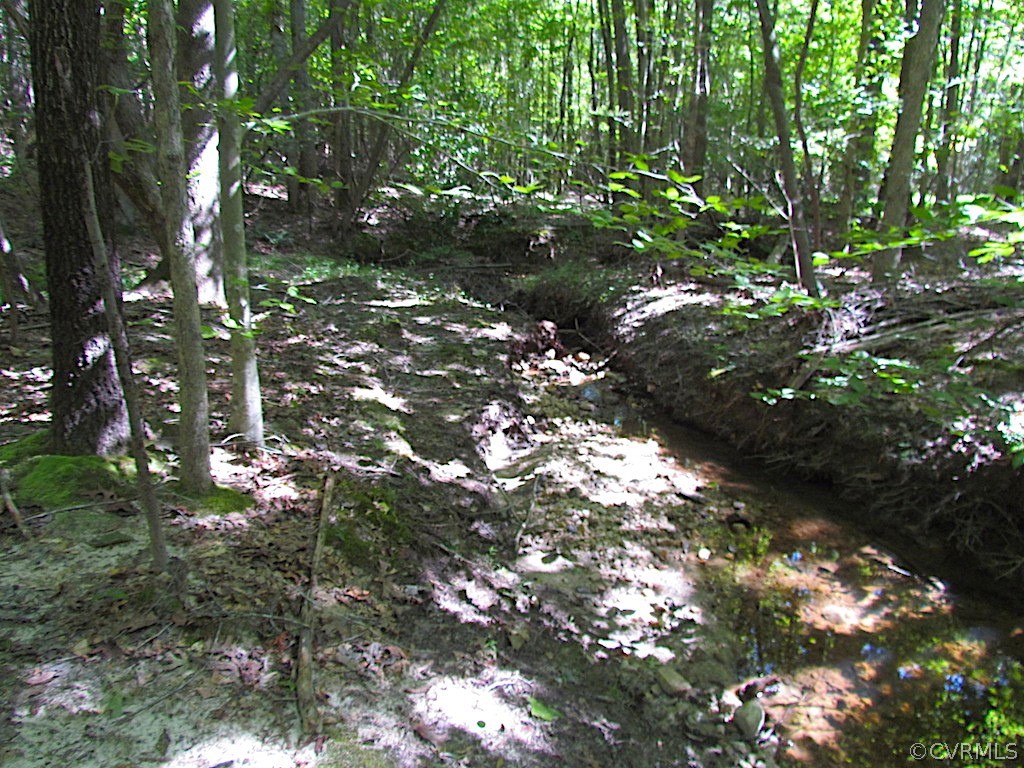 8.6-ac Oral Oaks Road Victoria, VA 23974 - Photo 23 of 36 Gallery Image 23