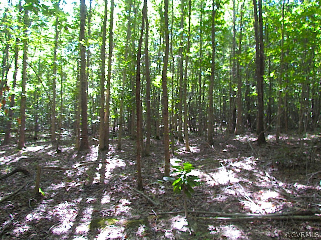 8.6-ac Oral Oaks Road Victoria, VA 23974 - Photo 24 of 36 Gallery Image 24