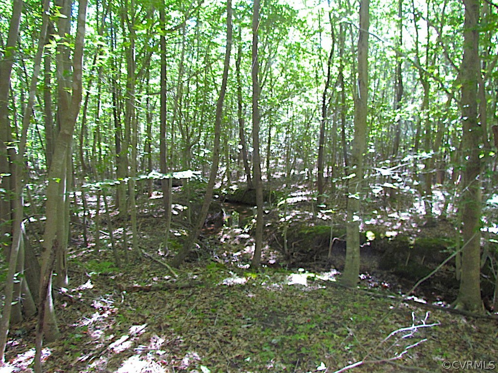 8.6-ac Oral Oaks Road Victoria, VA 23974 - Photo 26 of 36 Gallery Image 26