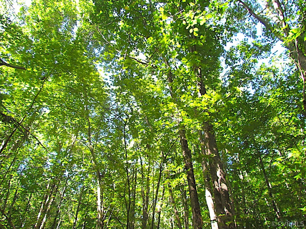 8.6-ac Oral Oaks Road Victoria, VA 23974 - Photo 29 of 36 Gallery Image 29
