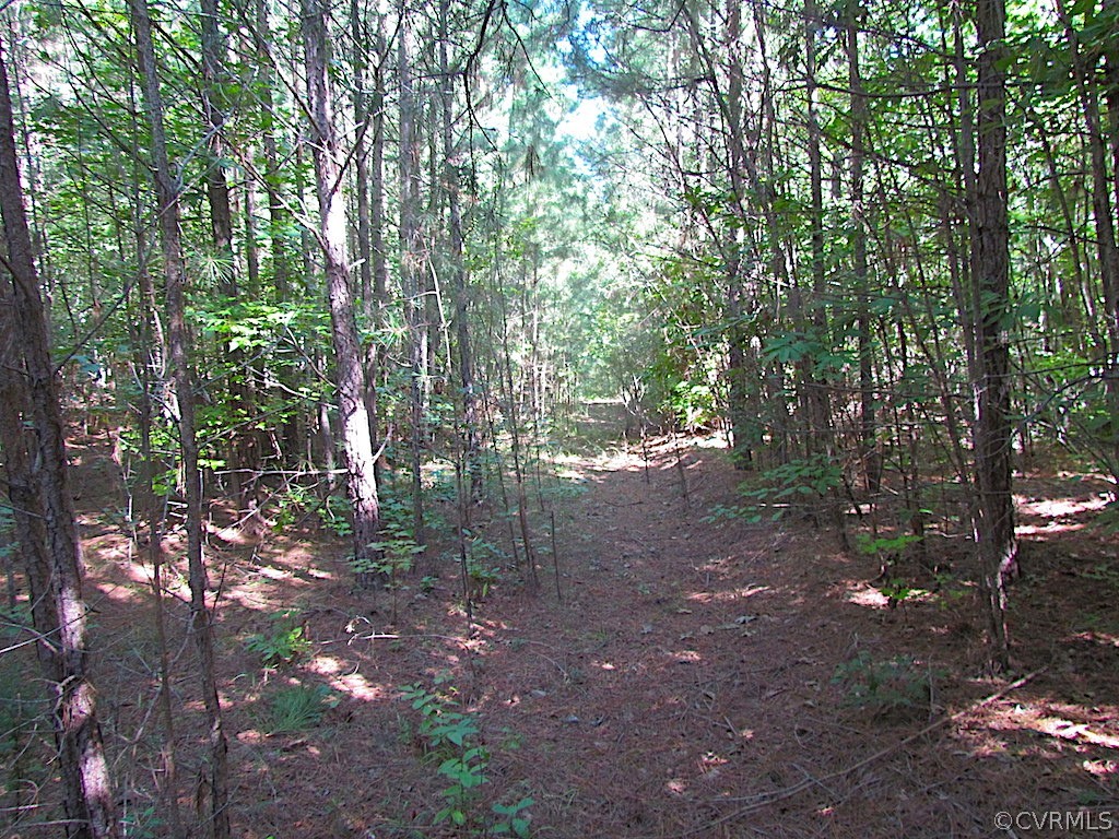 8.6-ac Oral Oaks Road Victoria, VA 23974 - Photo 36 of 36 Gallery Image 36